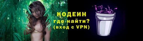 ГАЛЛЮЦИНОГЕННЫЕ ГРИБЫ Вяземский